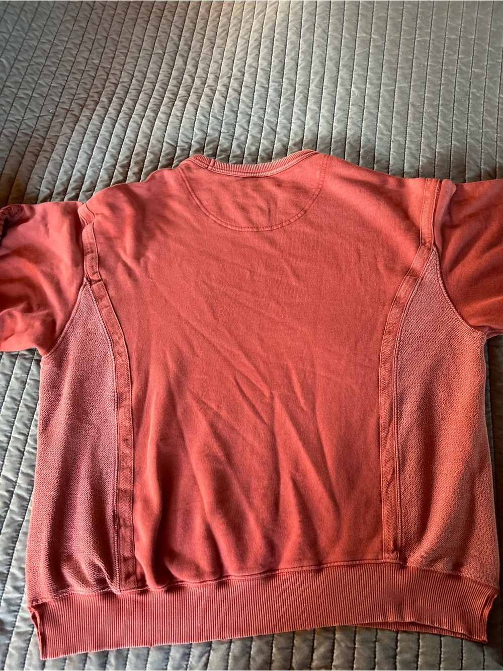 Aerie Coral Crewneck Sweatshirt - Picture 7 of 9